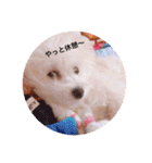 うちのらぶ❤︎2（個別スタンプ：23）