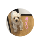 くぅスタンプ1（個別スタンプ：5）