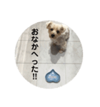 くぅスタンプ1（個別スタンプ：8）