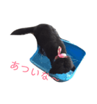 ニューファン のハンナちゃん1（個別スタンプ：1）