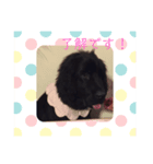ニューファン のハンナちゃん1（個別スタンプ：5）