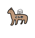 丸ペンギン1（個別スタンプ：16）