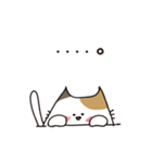 ぽっちゃり猫さんず（個別スタンプ：2）