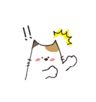 ぽっちゃり猫さんず（個別スタンプ：21）