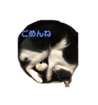 豆吉スタンプ（個別スタンプ：8）