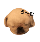 にょっちゃんとふぅちゃん（個別スタンプ：1）