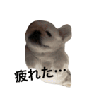 にょっちゃんとふぅちゃん（個別スタンプ：5）