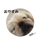 にょっちゃんとふぅちゃん（個別スタンプ：16）