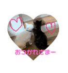山口家のアニマルズ2（個別スタンプ：8）