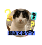山口家のアニマルズ2（個別スタンプ：18）