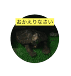ぷうたお出かけ編（個別スタンプ：1）