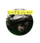 ぷうたお出かけ編（個別スタンプ：3）