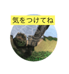 ぷうたお出かけ編（個別スタンプ：4）