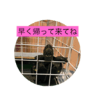 ぷうたお出かけ編（個別スタンプ：5）