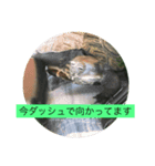 ぷうたお出かけ編（個別スタンプ：6）