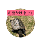 ぷうたお出かけ編（個別スタンプ：7）