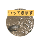 ぷうたお出かけ編（個別スタンプ：8）