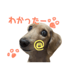 ぷりんのスタンプ（個別スタンプ：6）