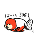 きんぎょがんばる部（個別スタンプ：23）
