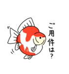 きんぎょがんばる部（個別スタンプ：35）