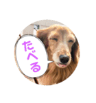 みんとまんだよ（個別スタンプ：2）