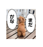 みんとまんだよ（個別スタンプ：6）