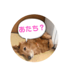 みんとまんだよ（個別スタンプ：11）