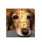 みんとまんだよ（個別スタンプ：12）