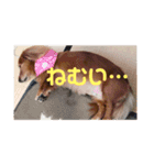 みんとまんだよ（個別スタンプ：13）
