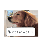 みんとまんだよ（個別スタンプ：14）