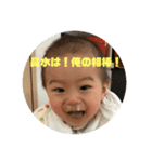 瀬戸さんちのぴよさん（個別スタンプ：1）