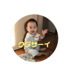 瀬戸さんちのぴよさん（個別スタンプ：5）