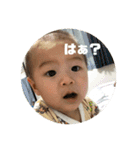 瀬戸さんちのぴよさん（個別スタンプ：6）