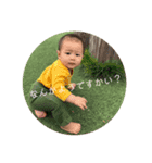 瀬戸さんちのぴよさん（個別スタンプ：10）