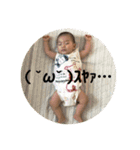 瀬戸さんちのぴよさん（個別スタンプ：13）