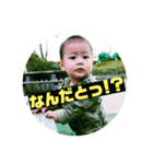 瀬戸さんちのぴよさん（個別スタンプ：14）