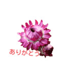 アメニティーさくら（個別スタンプ：2）