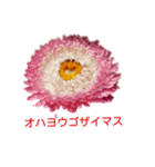 アメニティーさくら（個別スタンプ：3）