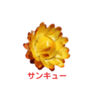 アメニティーさくら（個別スタンプ：6）