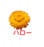 アメニティーさくら（個別スタンプ：7）