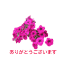アメニティーさくら（個別スタンプ：8）