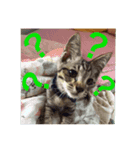 One frame in life2（個別スタンプ：4）