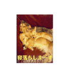 One frame in life2（個別スタンプ：7）