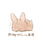 ほしぞらのゆめ（個別スタンプ：17）