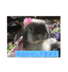 四羽のうさぎ（個別スタンプ：8）