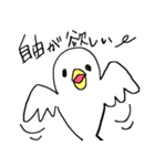 飛び回る白いハト（個別スタンプ：1）