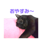 黒ネコづくし。2（個別スタンプ：6）