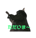 黒ネコづくし。2（個別スタンプ：27）
