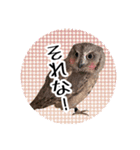 サバサクコノハズクのナゲット＆柊＆少佐（個別スタンプ：2）
