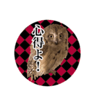 サバサクコノハズクのナゲット＆柊＆少佐（個別スタンプ：3）